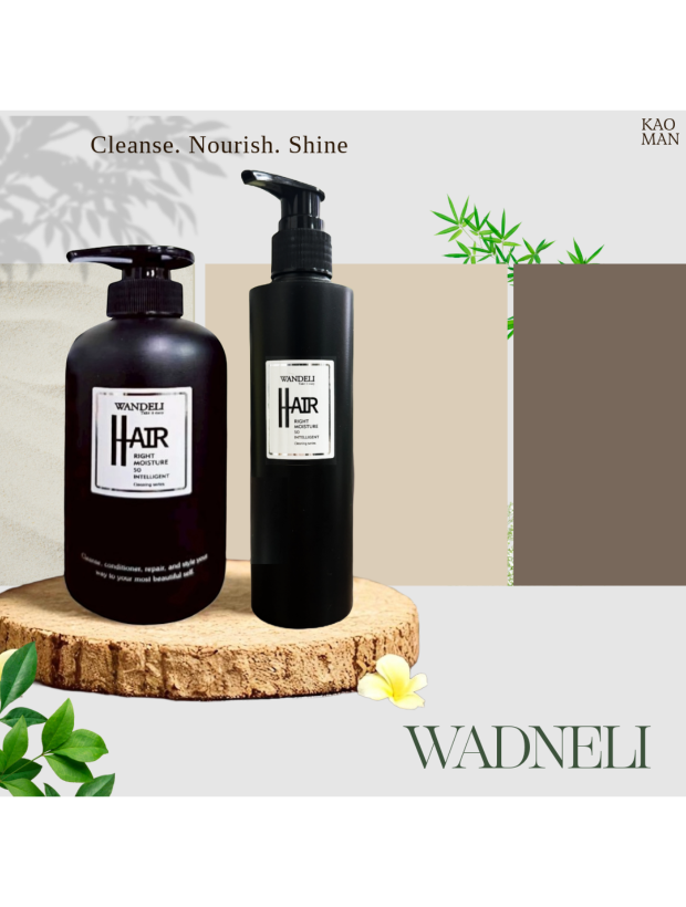 WANDELI 銀鑽優惠組